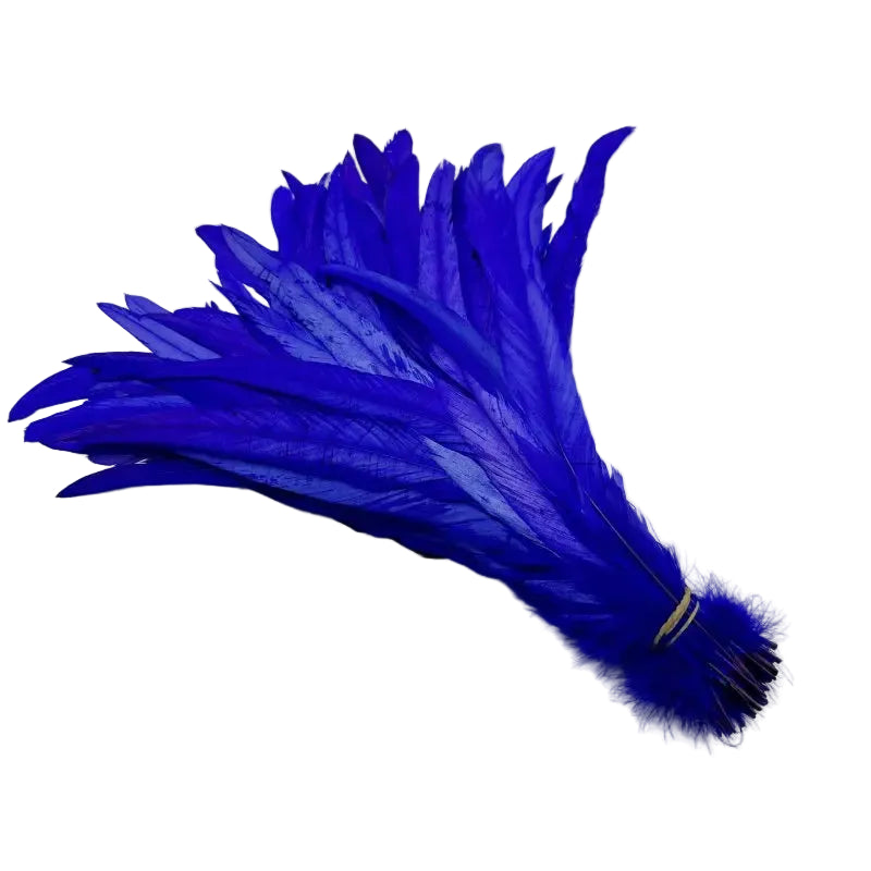 Tejesa  100pcs 30-35CM Rooster Tail Feathers Sky Blue Natural  Plumes Beige DIY Cock Clothing Jewelry Accessories Party