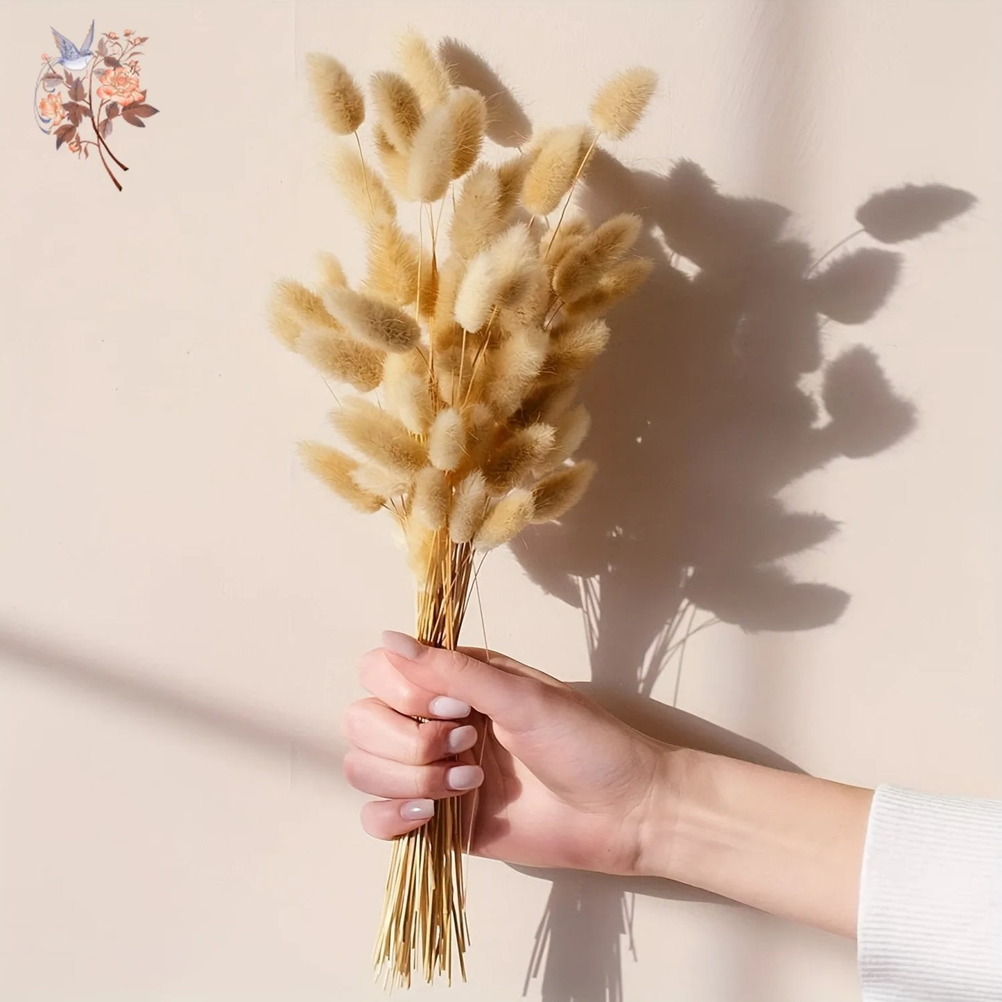 50Pcs Rabbit Tail Dried Flower Bunch Natural Bunny Pampas Grass Real Bouquet for Photo Prop Flores Home Wedding Party Decoration