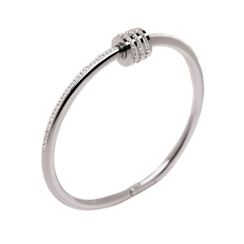 Hemasa  Classic Stainless Steel Zircon Bangle For Women /Circular Screw Bracelet