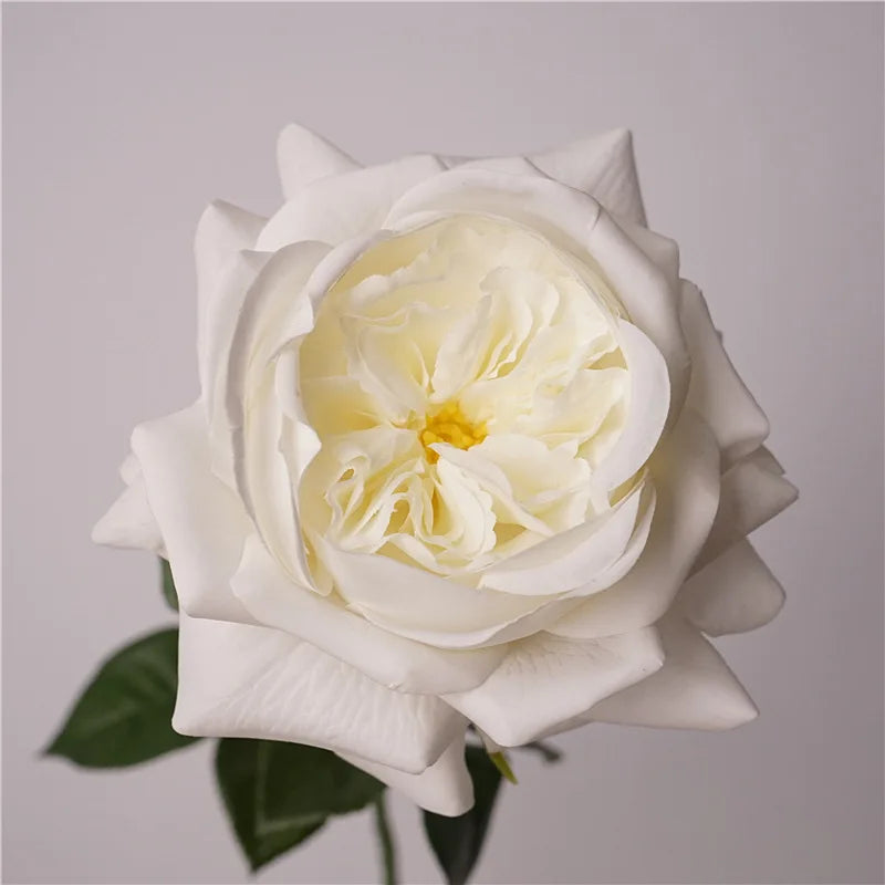 5Pc Moisturizing Austin Rose Real Touch Artificial Flowers Luxury Home Decoration Party Event Wedding Bouquet Fake Flowers Roses