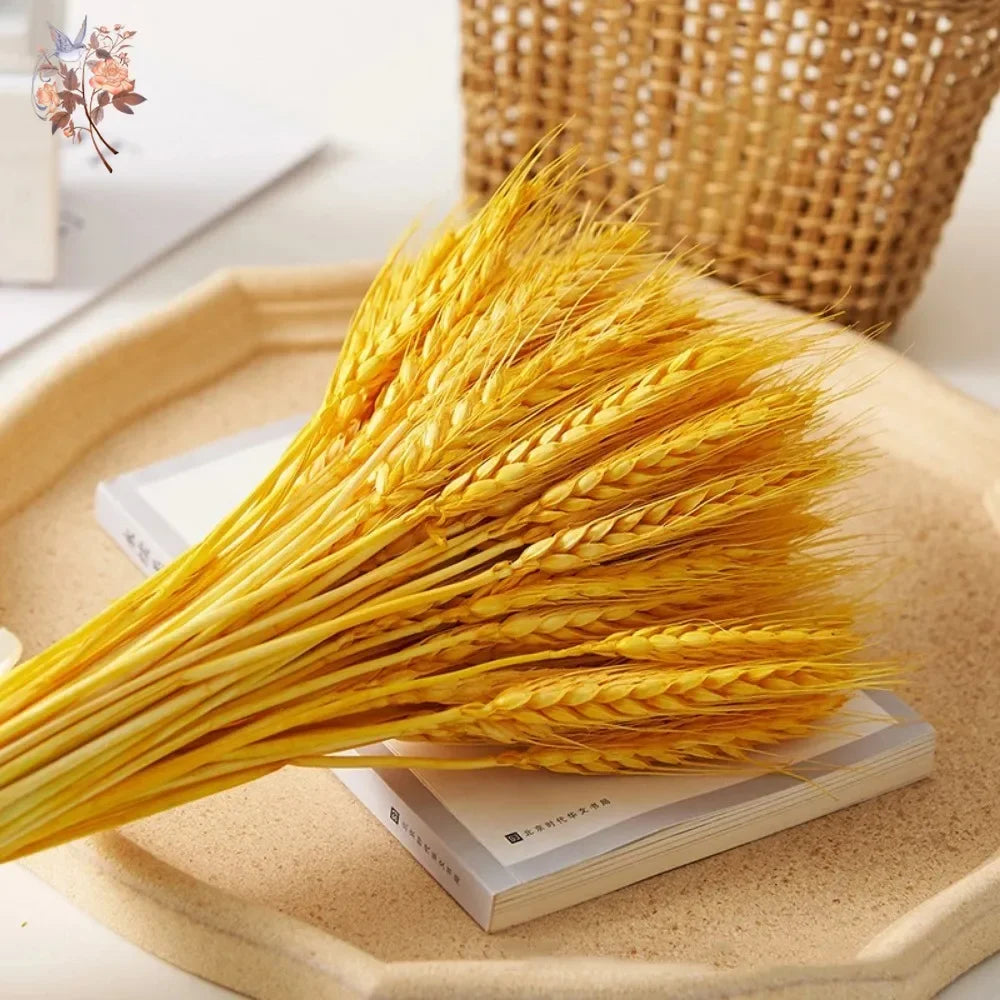 Natural Wheat Ear Dried Flowers Bouquet for Boho Home Decor Real Fleurs Sechees Wedding Party Decoration DIY Photo Prop Supplies