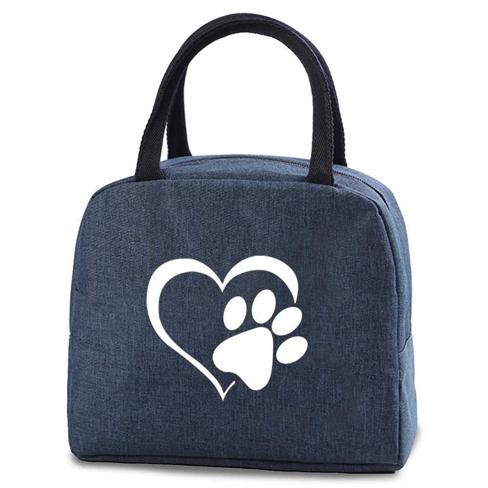 Tejesa Insulated soft cooler Lunch box Bag / Small food cooling Tote Portable Thermal Cold Food Bags For Kids /Travel Dnner Picnic Handbag