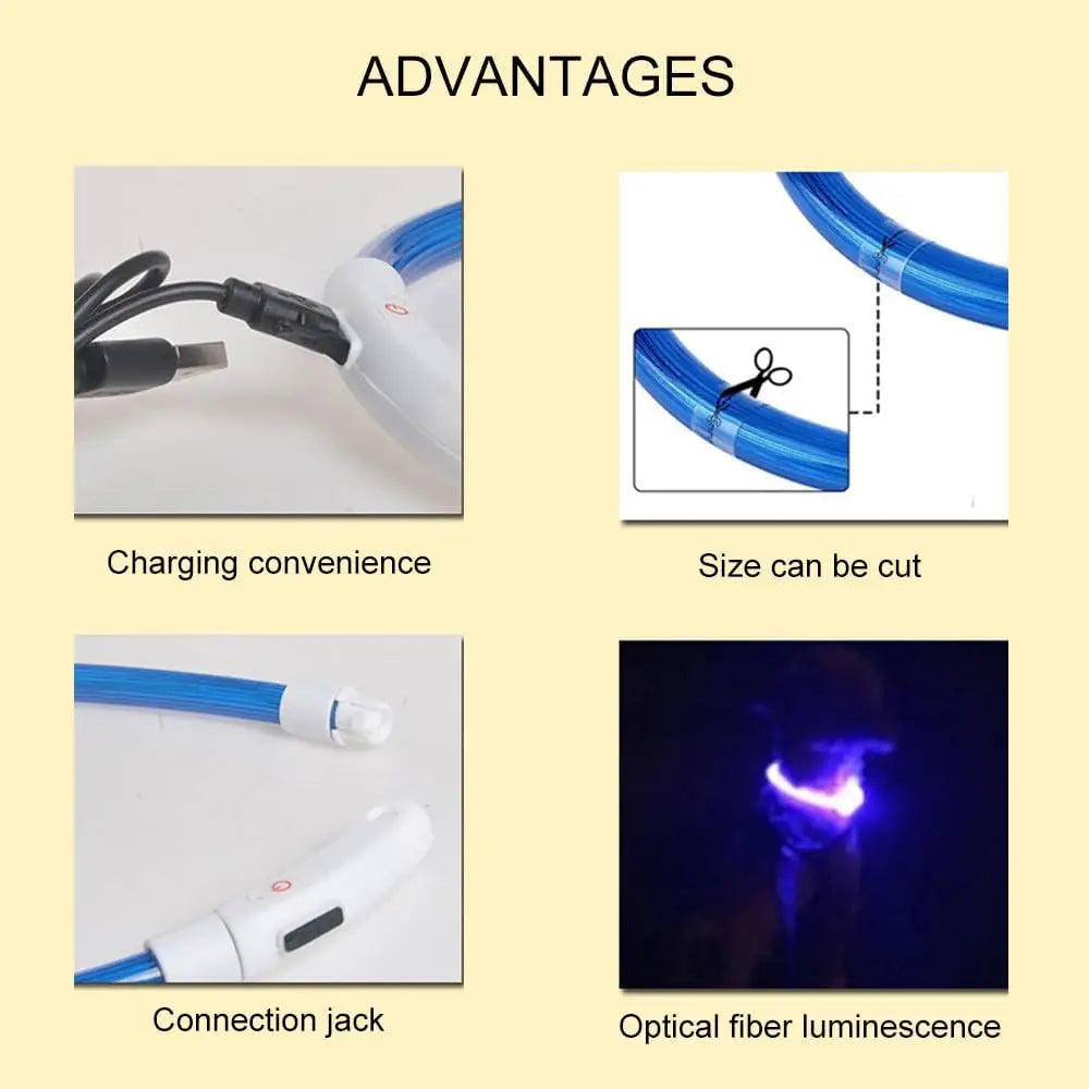 PVC LED Fiber Optic Dog Collar, USB Rechargeable Night Safety Light, Multi-Color, Available Pet Collar, 40 cm, 50 cm, 70cm, 1Pc