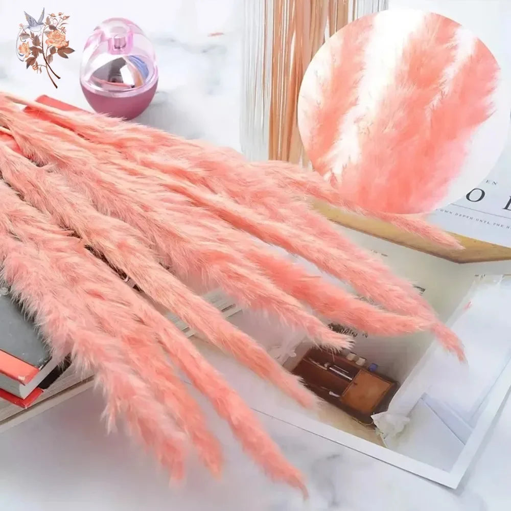 Natural Pink Pampas Grass Dried Flowers Fluffy Bulrush Home Boho Vase Decor Phragmites Reeds Wedding Christmas New Year DIY Gift