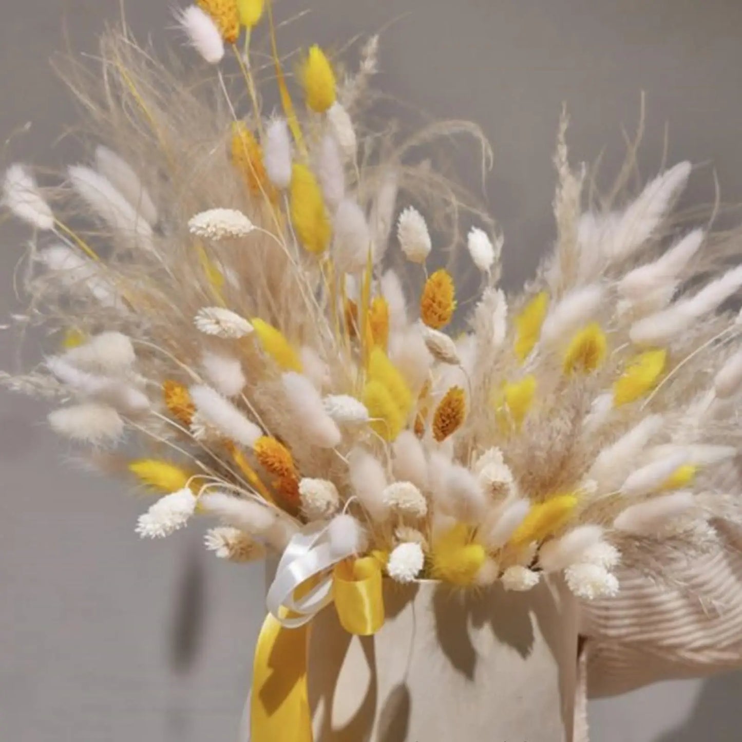 Hemasa Bunny Tails Dried Flowers, Natural Dry Pampas,Eternal Rabbit Tails Grass for Vase,Arrangement Wedding,Home,Hotel Decoration