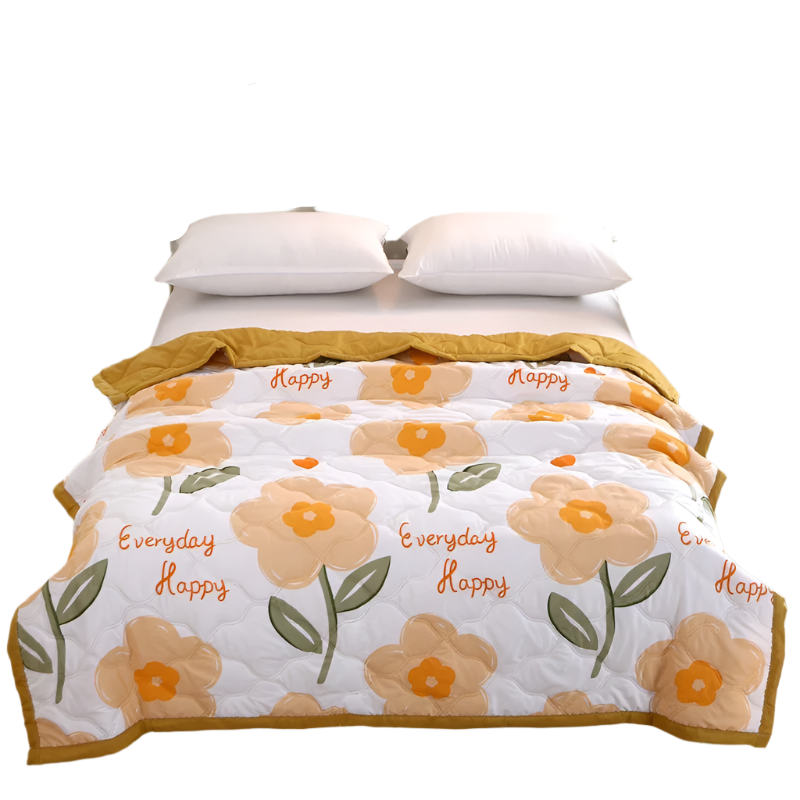 Hemasa Quilted summer single double bed light Printed quilt core Air conditioning quilting twin queen size duvet Thin plaid comforter
