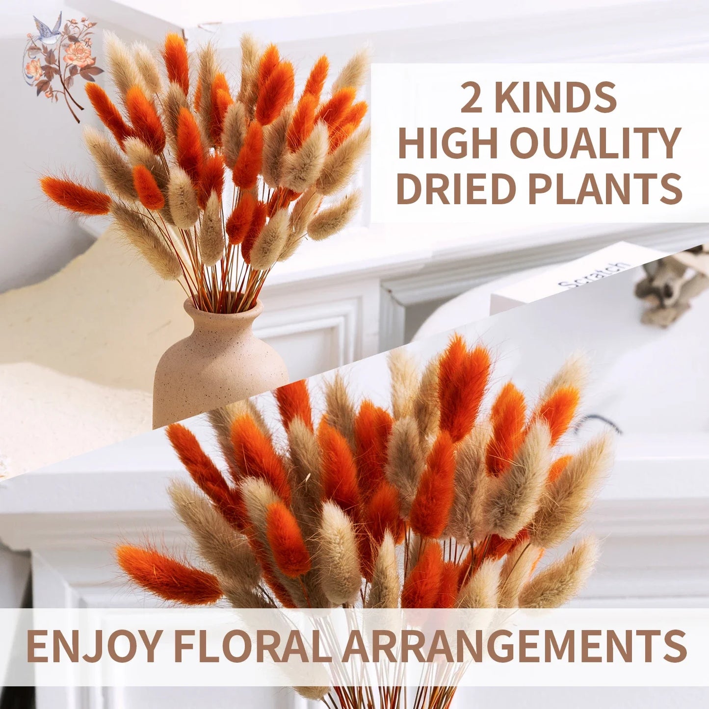 70pcs Mix Rabbit Tail Grass Natural Dried Flowers Bouquet Pampas Lagurus Autumn Floral Wedding Decoration Home Photo Props Decor