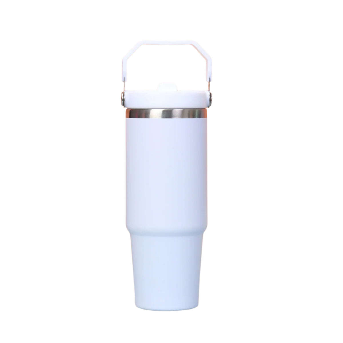 Hemasa 1pc Tumbler with Handle and Straw Lid
