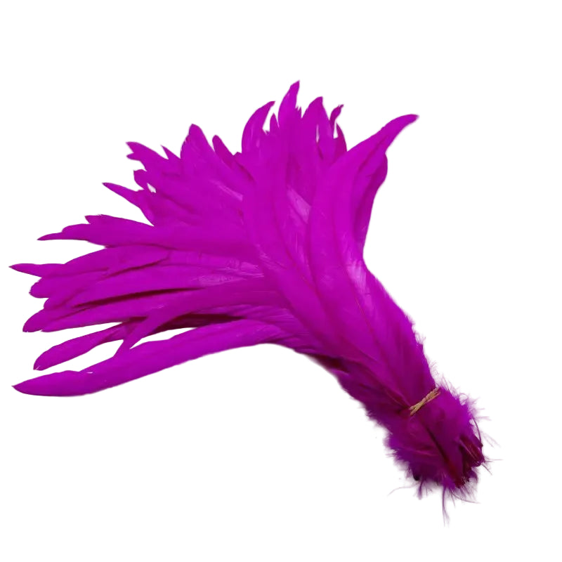 Tejesa  100pcs 30-35CM Rooster Tail Feathers Sky Blue Natural  Plumes Beige DIY Cock Clothing Jewelry Accessories Party