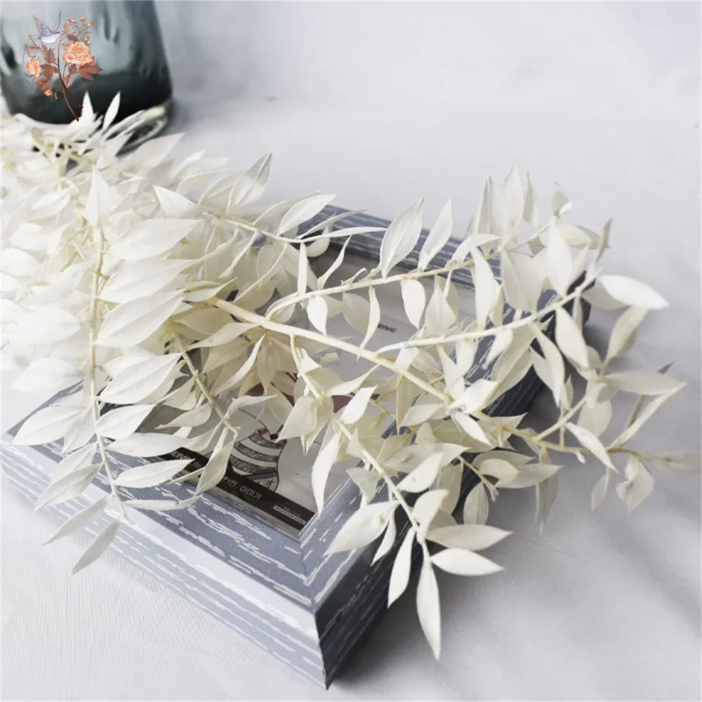 20-60g Dried Flowers Ruscus Eucalyptus Leaves Bouquet Home Decor Natural Preserved Plant Branch Stems Garden Wedding Decoration