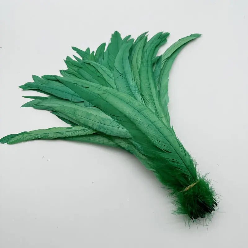 Tejesa  100pcs 30-35CM Rooster Tail Feathers Sky Blue Natural  Plumes Beige DIY Cock Clothing Jewelry Accessories Party