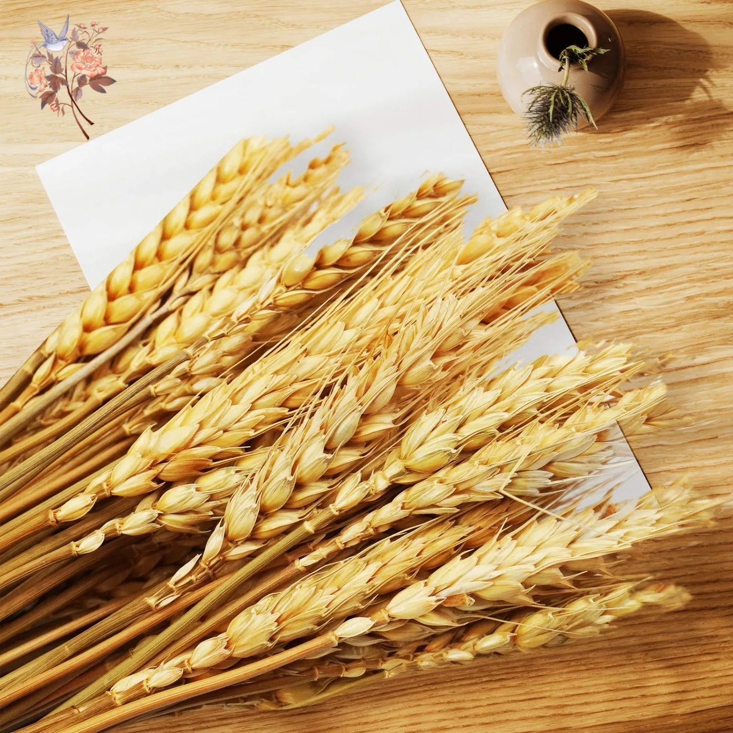 50/100Pcs Real Wheat Ear Natural Dried Bunny Tail Grass Boho Dried Flowers Wedding Party Decor Home DIY Craft Bouquet Decoration