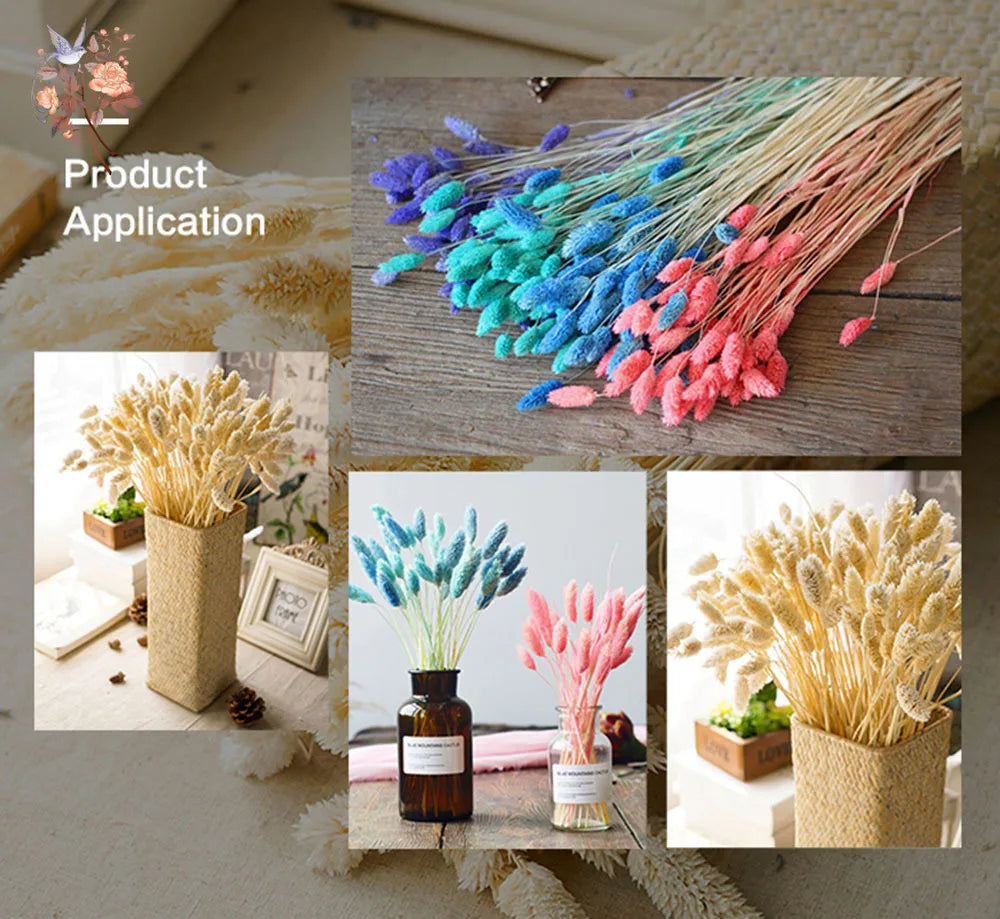 Natural Dried Gem Grass Bouquet Wedding Decoration Real Dry Plant Jewelry Grass Phalaris Preserved Flower Home Living Room Decor