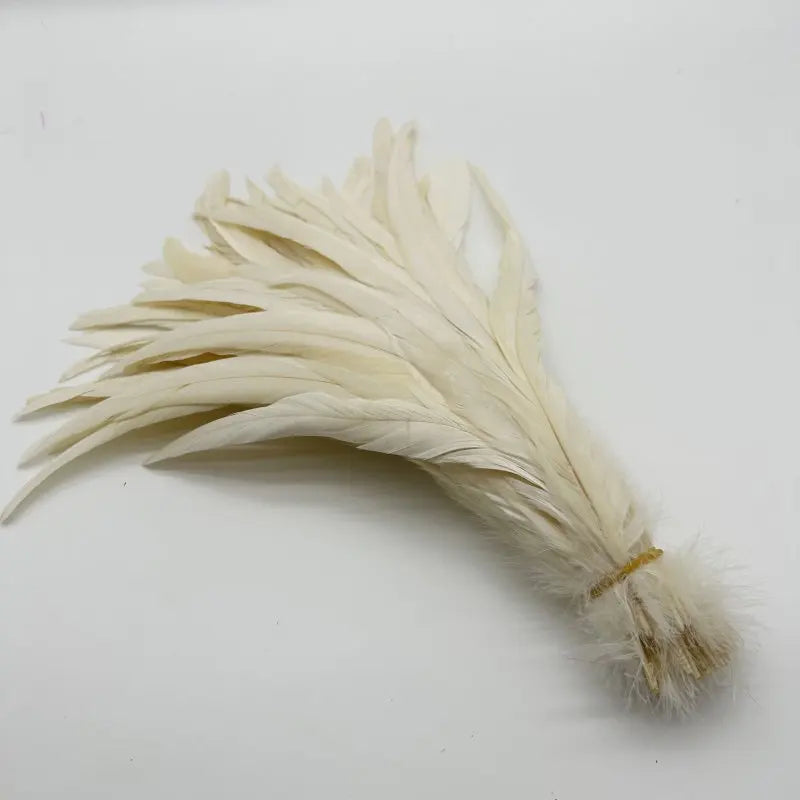 Tejesa  100pcs 30-35CM Rooster Tail Feathers Sky Blue Natural  Plumes Beige DIY Cock Clothing Jewelry Accessories Party