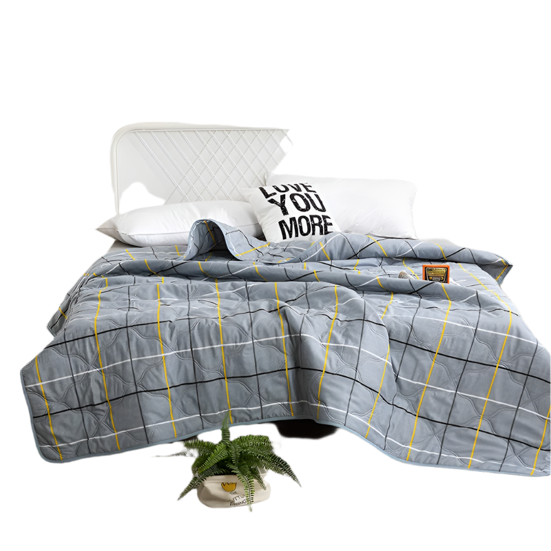 Hemasa  Silk  Thin Quilt Summer Blanket  Single/Queen/King