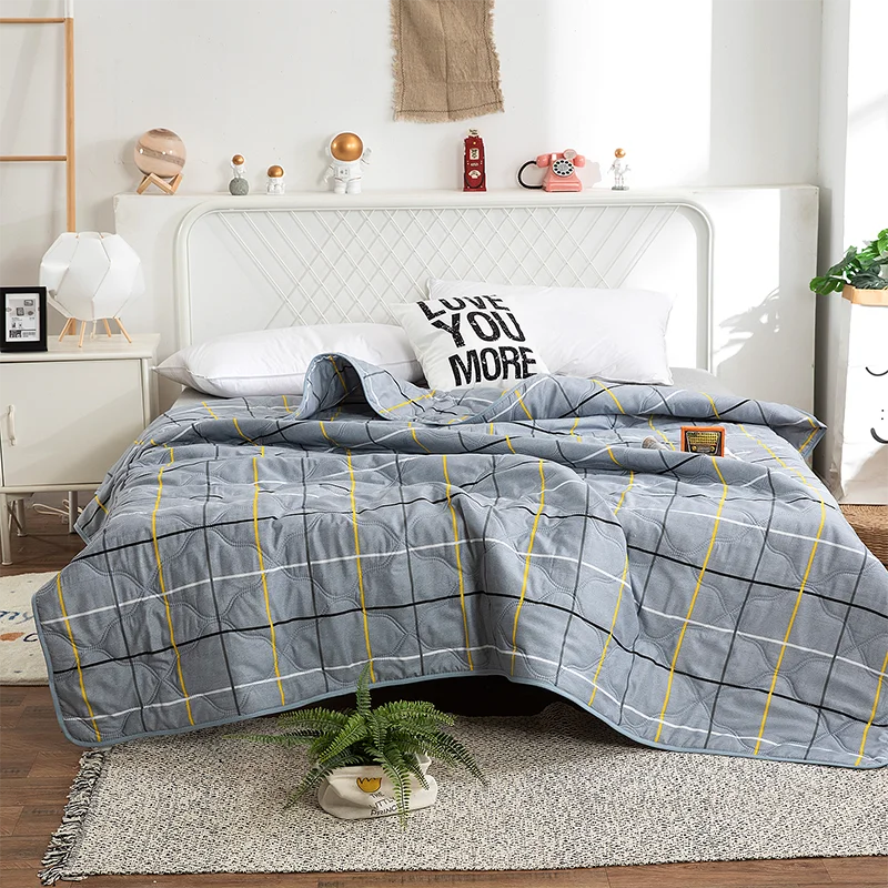 Hemasa  Silk  Thin Quilt Summer Blanket  Single/Queen/King