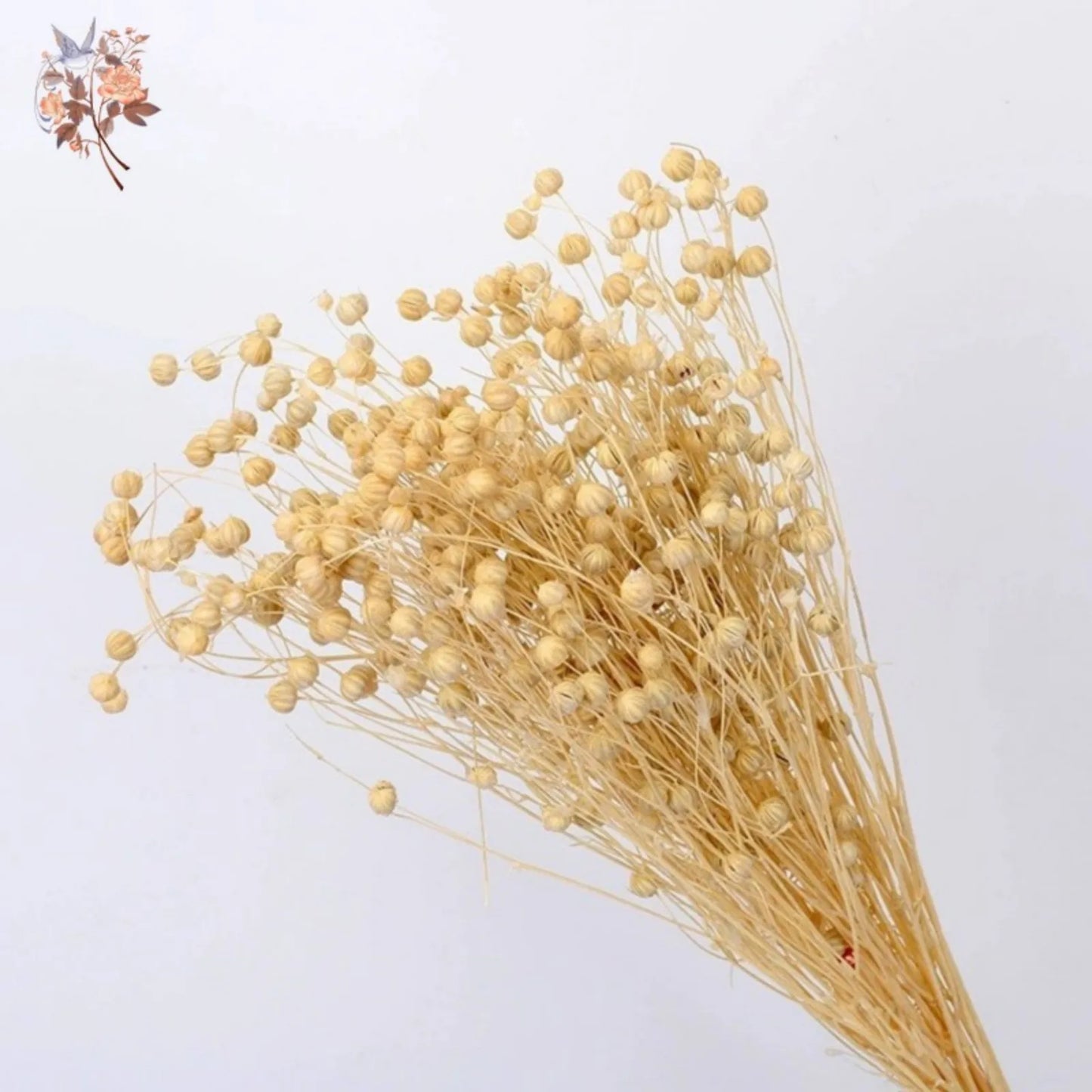 Natural Dried Flowers Linen Grass Bouquets Preserved Real Plants for Home Room Decor DIY Material Wedding Decoration Epoxy Resin