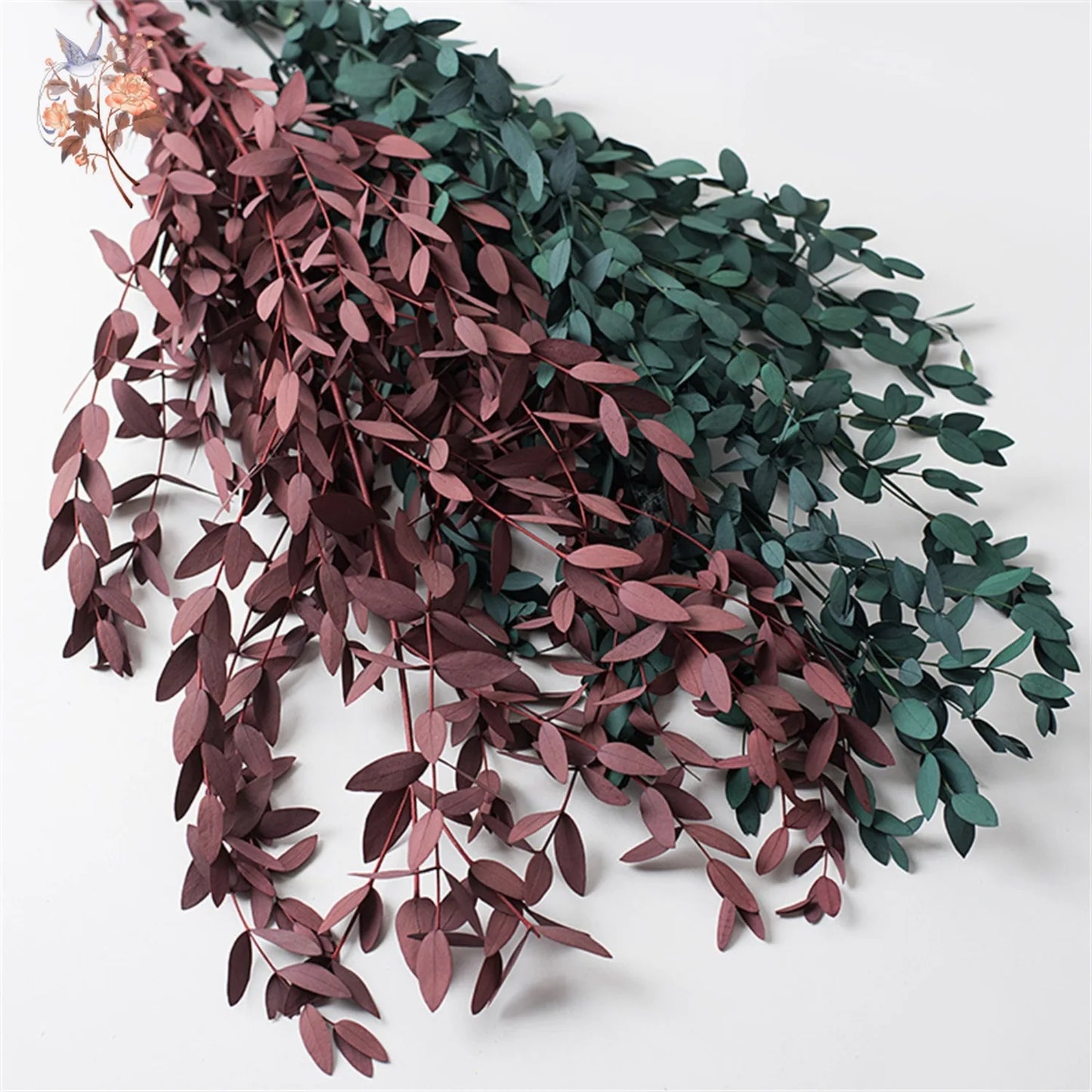 Natural Eucalyptus Leaves Branches Preserved Green Leaf Plant Wedding Party Decoration Eternal Dried Greenery Bundles Home Decor