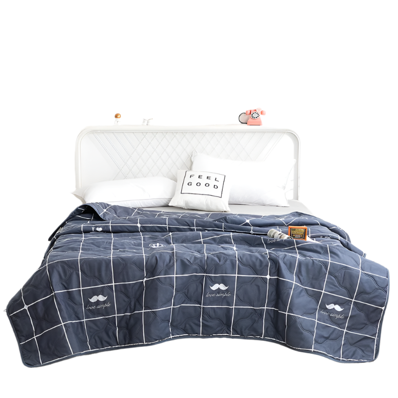 Hemasa  Silk  Thin Quilt Summer Blanket  Single/Queen/King