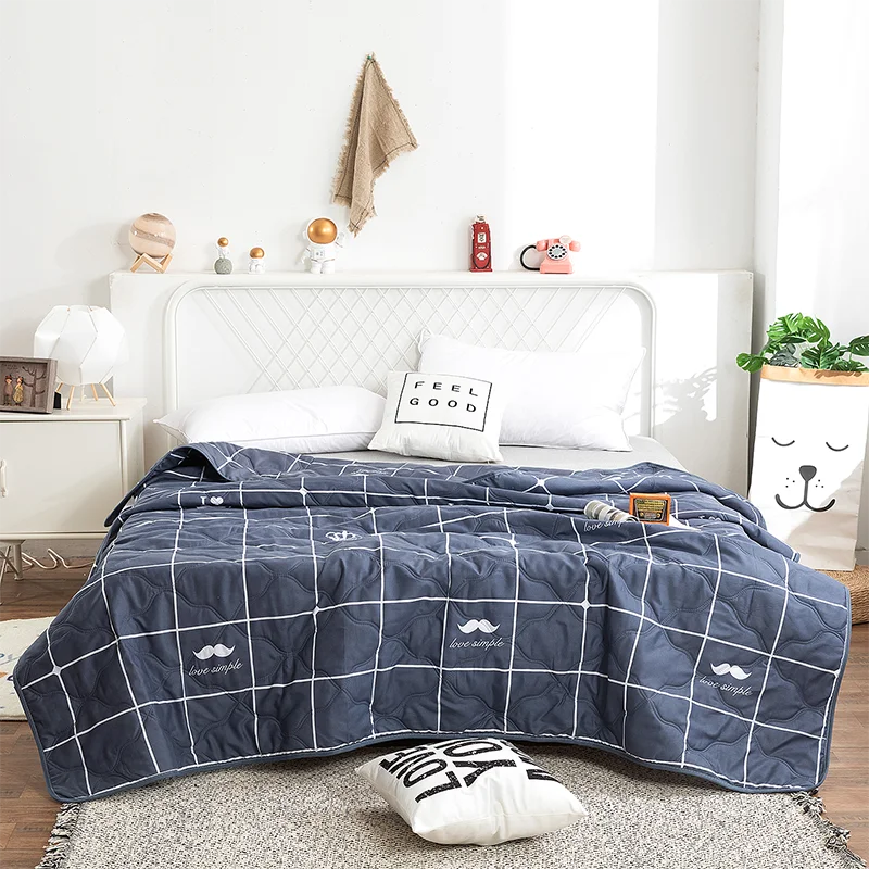 Hemasa  Silk  Thin Quilt Summer Blanket  Single/Queen/King
