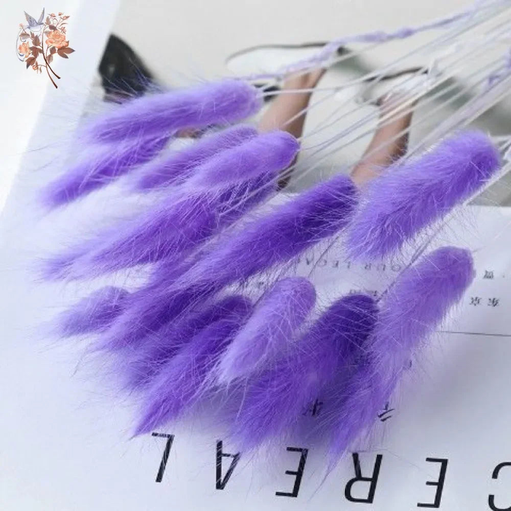 100Pcs Natural Purple Bunny Tails Dried Flowers Bouquet Rabbit Tail Grass Home Wedding Floral Arrangement DIY Craft Decoration
