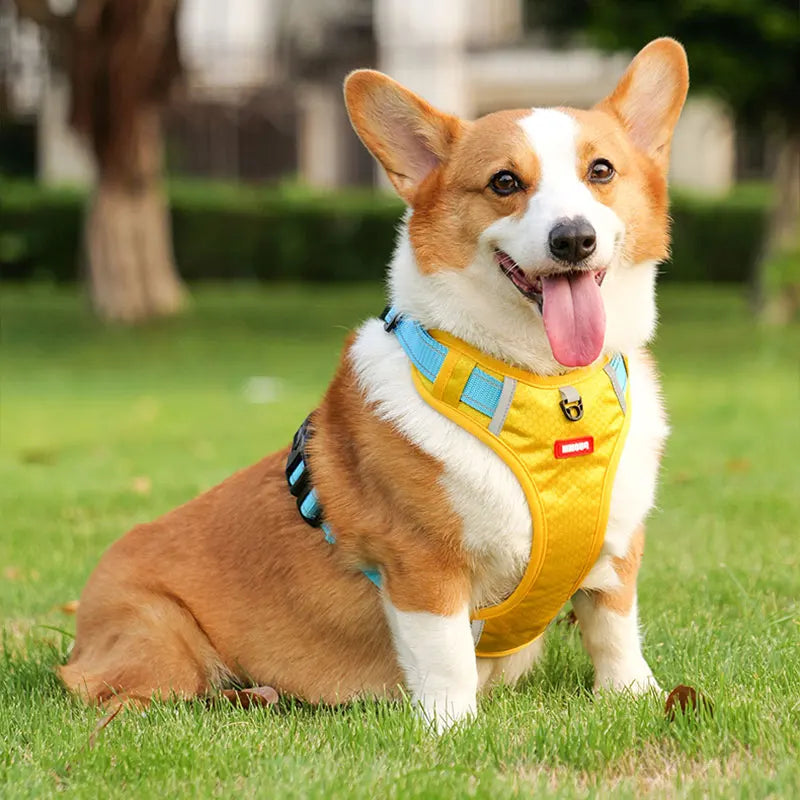 Reflective adjustable breathable harness for medium and large Labrador Shiba Inu dog harness French Bulldog large dog collar