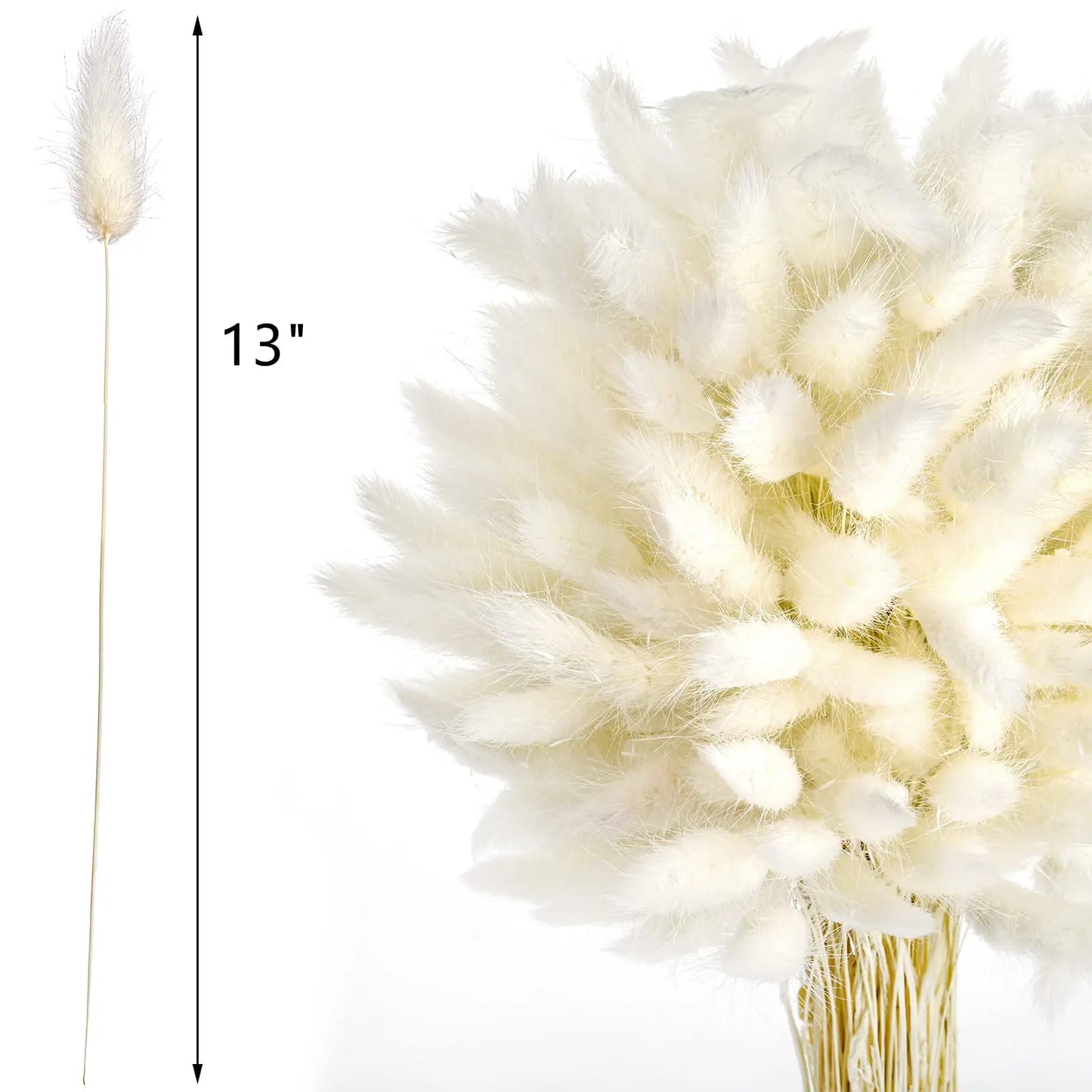 Hemasa Bunny Tails Dried Flowers, Natural Dry Pampas,Eternal Rabbit Tails Grass for Vase,Arrangement Wedding,Home,Hotel Decoration