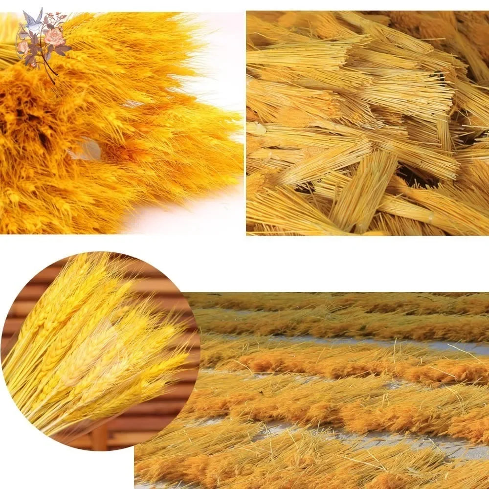 Natural Wheat Ear Dried Flowers Bouquet for Boho Home Decor Real Fleurs Sechees Wedding Party Decoration DIY Photo Prop Supplies