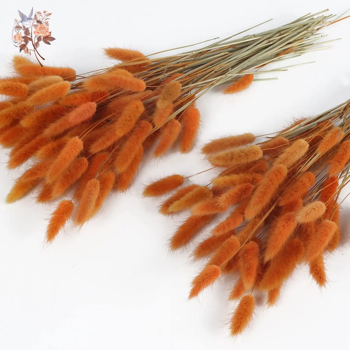 120Pcs Dried Rabbit Tail Flower Bouquet Wedding Floral Natural Bunny Tails Grass Artificial Lagurus Ovatus Christmas Decoration