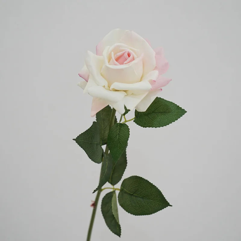 5Pc High-end Feel Moisturizing Big Austin Rose Flower Real Touch Artificial Flowers Rose Wedding Decor Fake Flowers Home Display