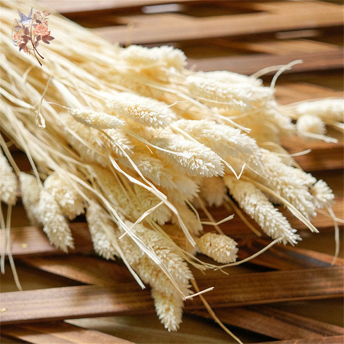 Natural Dried Gem Grass Bouquet Wedding Decoration Real Dry Plant Jewelry Grass Phalaris Preserved Flower Home Living Room Decor