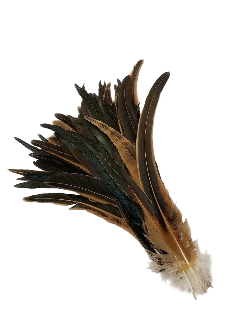Tejesa  100pcs 30-35CM Rooster Tail Feathers Sky Blue Natural  Plumes Beige DIY Cock Clothing Jewelry Accessories Party