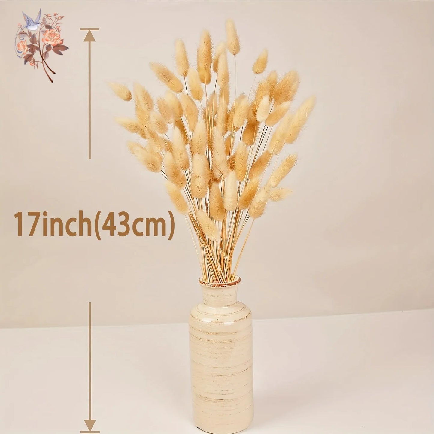 50Pcs Rabbit Tail Dried Flower Bunch Natural Bunny Pampas Grass Real Bouquet for Photo Prop Flores Home Wedding Party Decoration