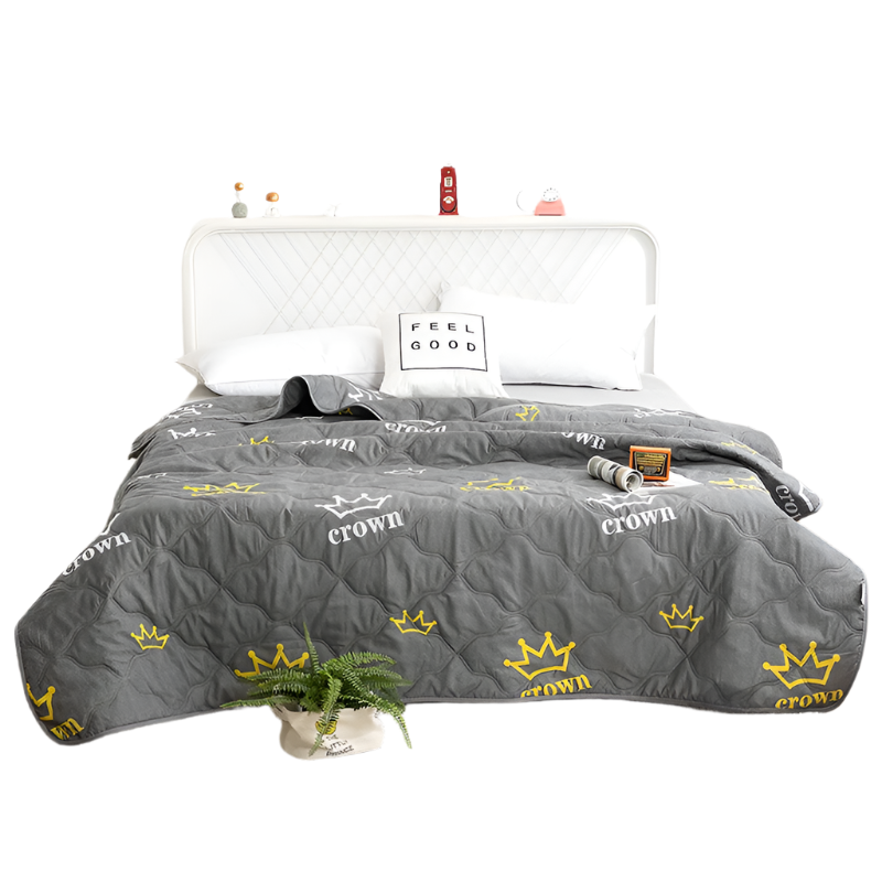 Hemasa  Silk  Thin Quilt Summer Blanket  Single/Queen/King