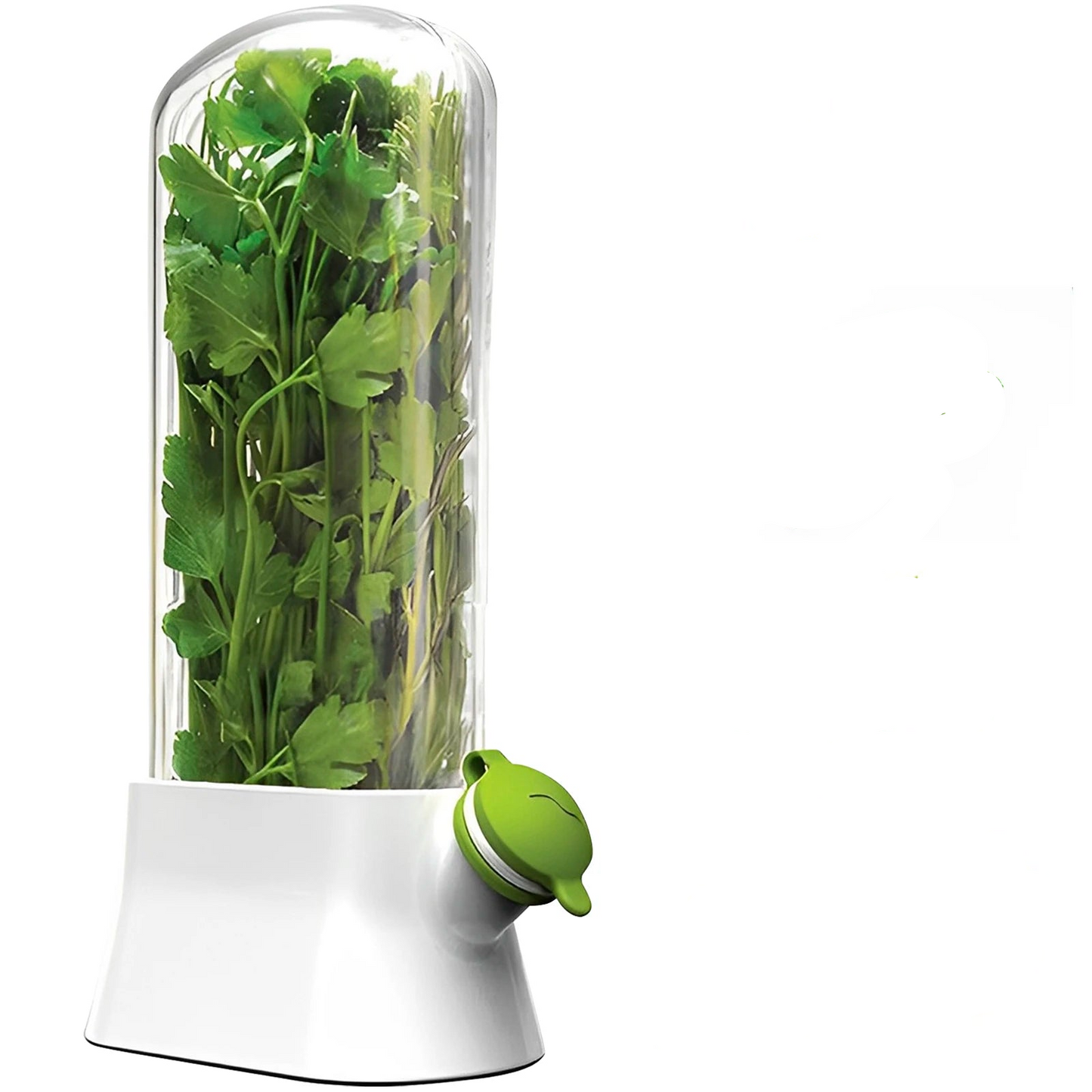 Tejesa 4/1PC Herb Freshkeeping Box Fresh Vegetable Storage Container Cup Home Decor Kitchen Gadget Device for Fridge Herb Keeper Bottle