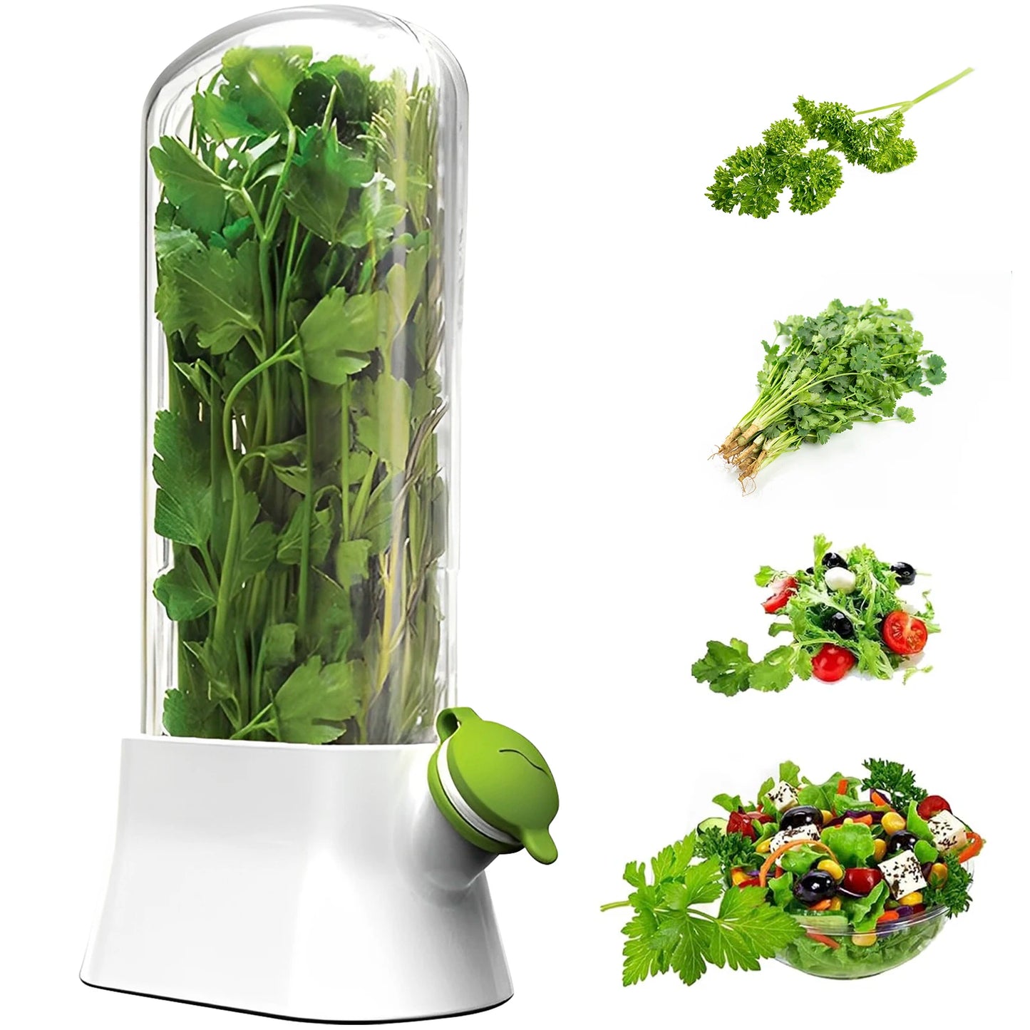 Tejesa 4/1PC Herb Freshkeeping Box Fresh Vegetable Storage Container Cup Home Decor Kitchen Gadget Device for Fridge Herb Keeper Bottle