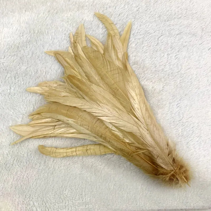 Tejesa  100pcs 30-35CM Rooster Tail Feathers Sky Blue Natural  Plumes Beige DIY Cock Clothing Jewelry Accessories Party
