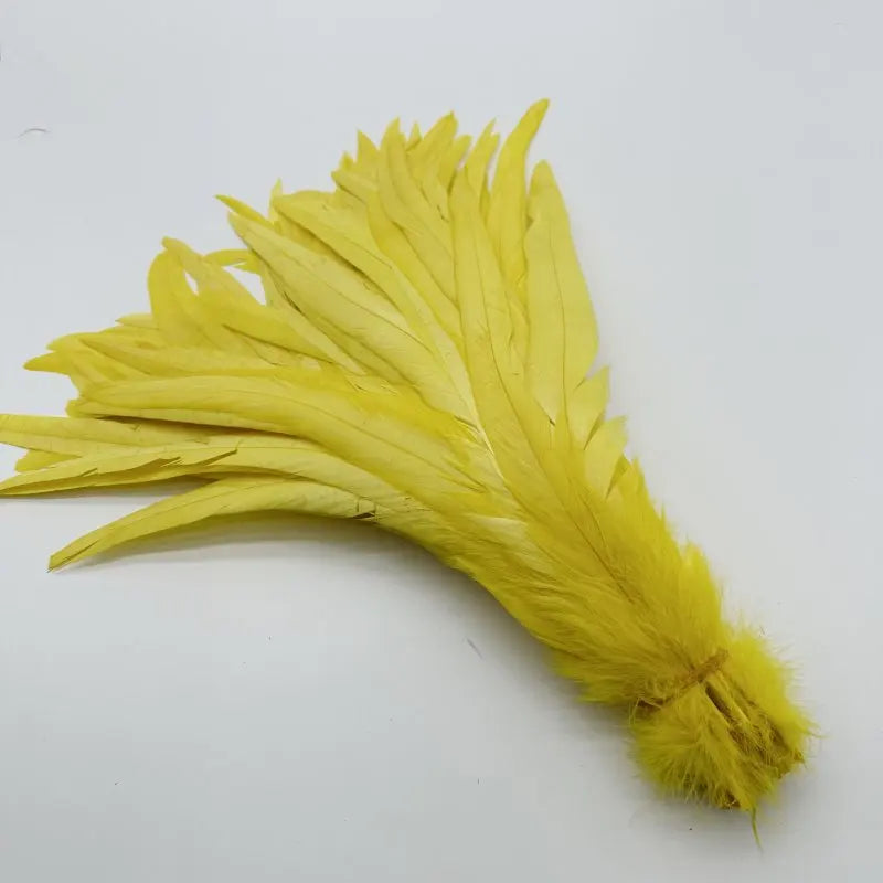 Tejesa  100pcs 30-35CM Rooster Tail Feathers Sky Blue Natural  Plumes Beige DIY Cock Clothing Jewelry Accessories Party