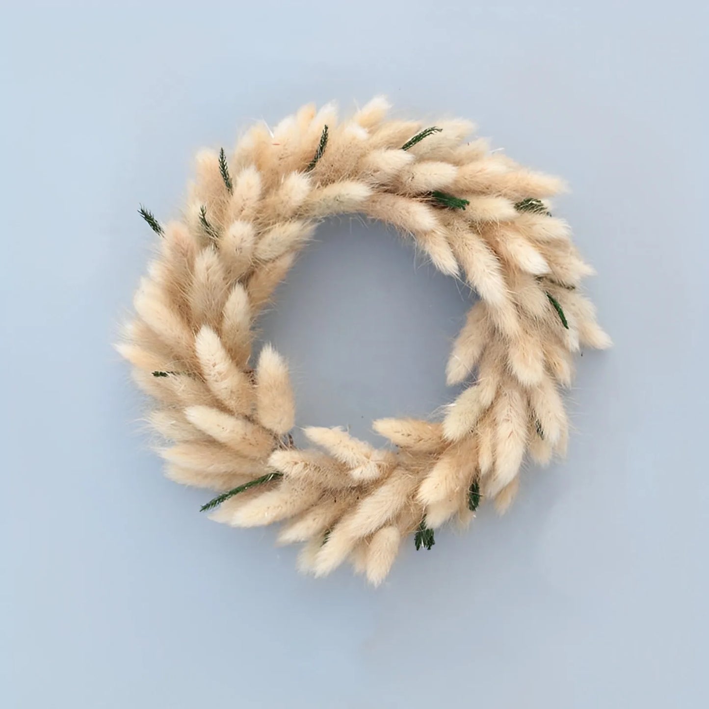 Aqumotic Dried Flower Wreath Foxtail Grass Wreaths for Front Door Clearance 1pc 20cm Dog Tail Grass Spring Wreaths