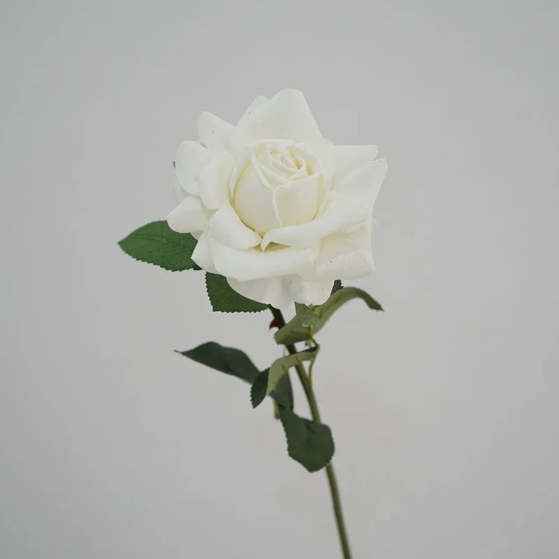 5Pc High-end Feel Moisturizing Big Austin Rose Flower Real Touch Artificial Flowers Rose Wedding Decor Fake Flowers Home Display