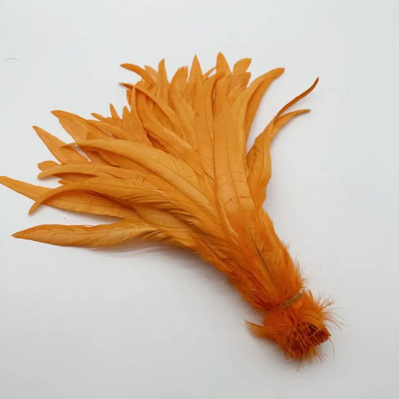 Tejesa  100pcs 30-35CM Rooster Tail Feathers Sky Blue Natural  Plumes Beige DIY Cock Clothing Jewelry Accessories Party