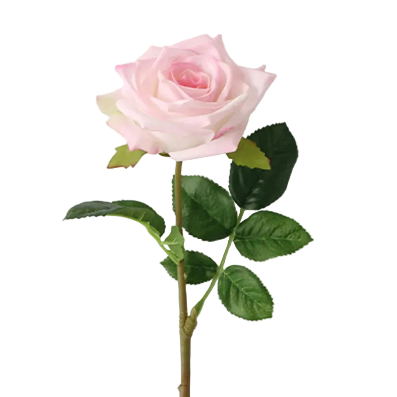 Tejesa Real Touch Artificial Rose Flowers  for Home Decor /White Pink Fake Latex Roses Flower Wedding Party Decoration Valentine's Gift