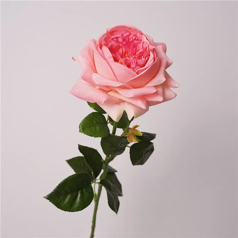 5Pc Moisturizing Austin Rose Real Touch Artificial Flowers Luxury Home Decoration Party Event Wedding Bouquet Fake Flowers Roses