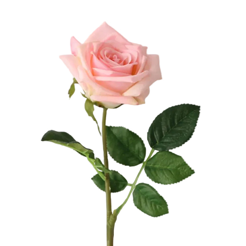 Tejesa Real Touch Artificial Rose Flowers  for Home Decor /White Pink Fake Latex Roses Flower Wedding Party Decoration Valentine's Gift