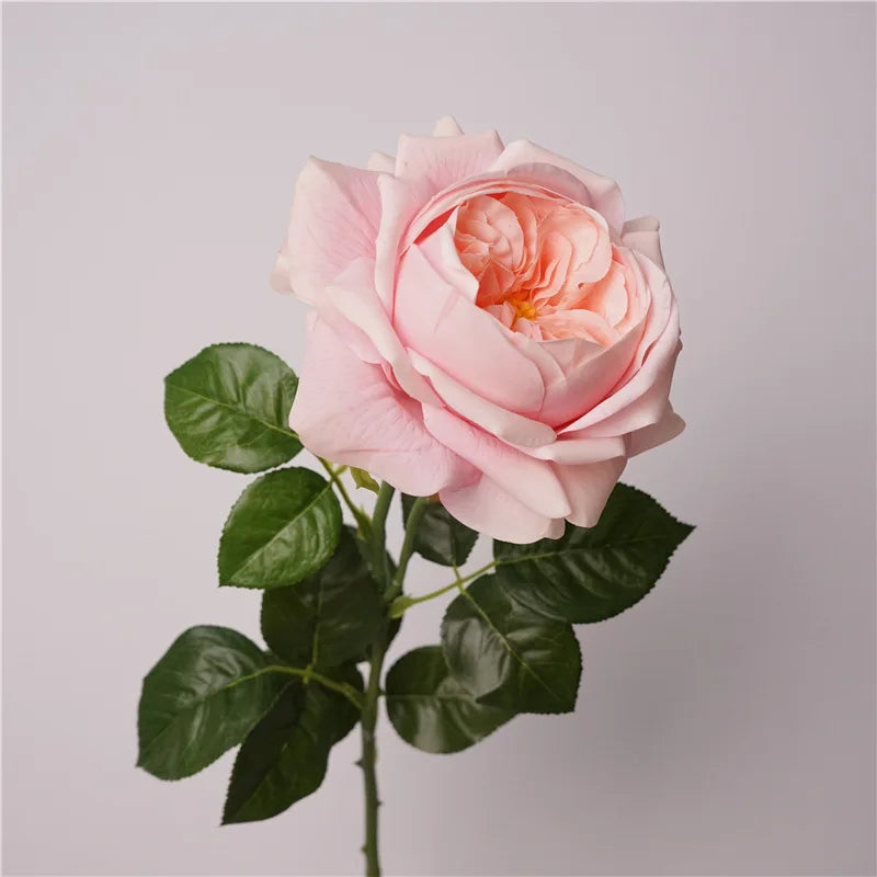 5Pc Moisturizing Austin Rose Real Touch Artificial Flowers Luxury Home Decoration Party Event Wedding Bouquet Fake Flowers Roses