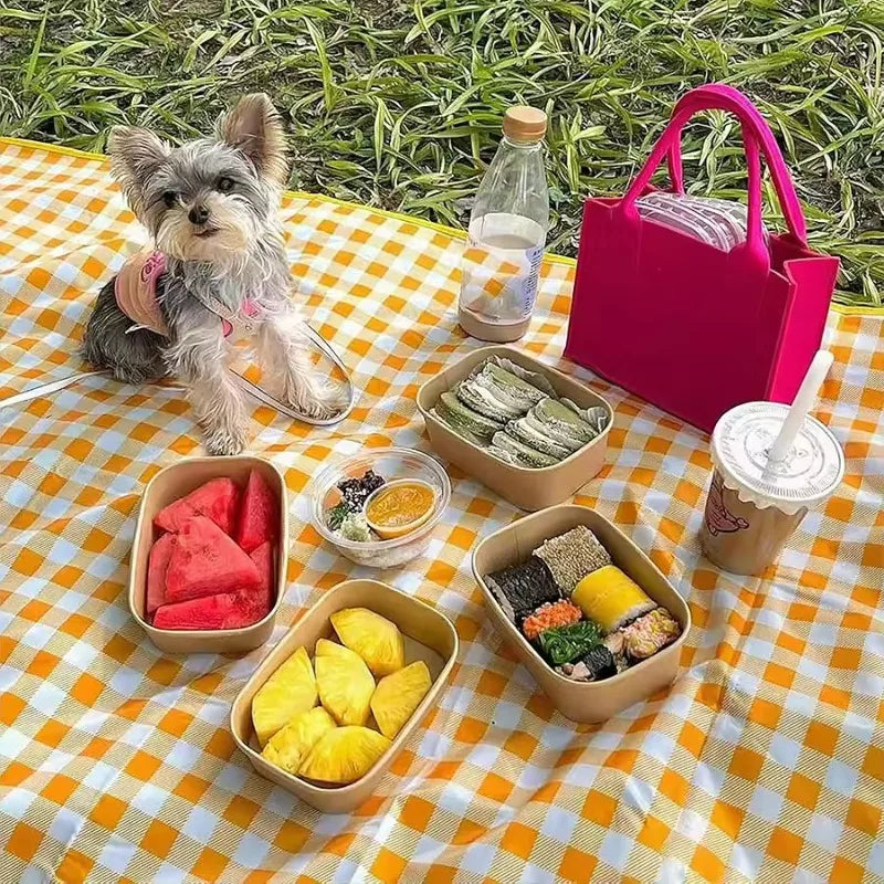 Tejesa Foldable Camping Mat Waterproof Cloth Beach Mat Picnic Blanket Practical Convenient Carry Moisture-Proof Outdoor Camping