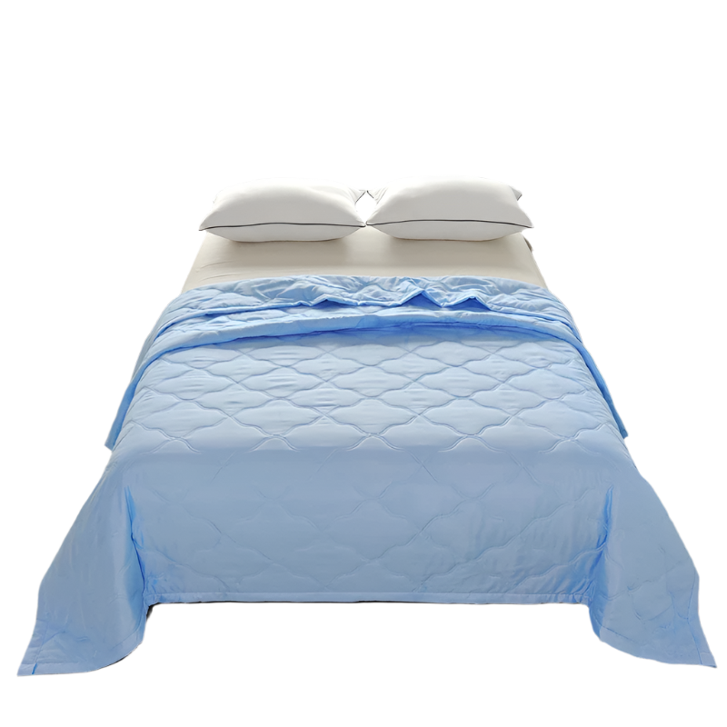 Hemasa Quilted summer single double bed light Printed quilt core Air conditioning quilting twin queen size duvet Thin plaid comforter