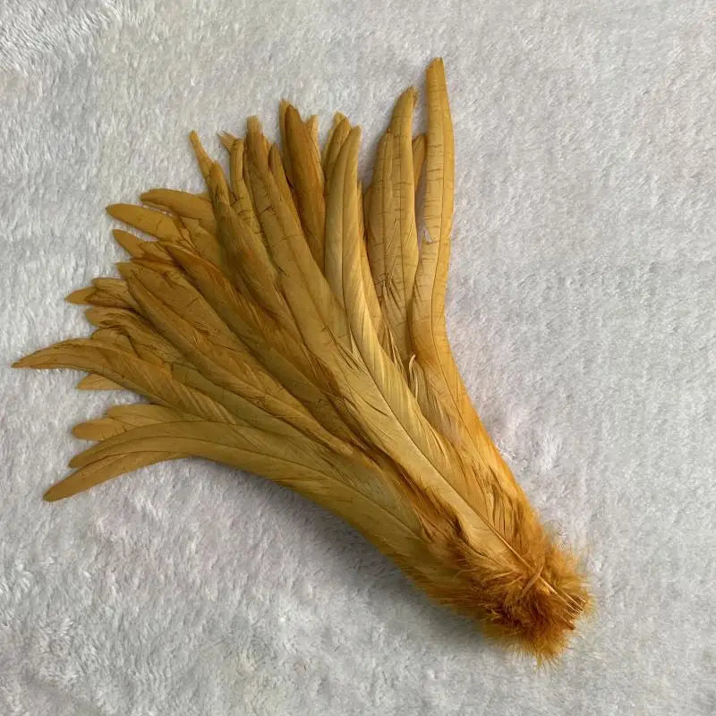 Tejesa  100pcs 30-35CM Rooster Tail Feathers Sky Blue Natural  Plumes Beige DIY Cock Clothing Jewelry Accessories Party