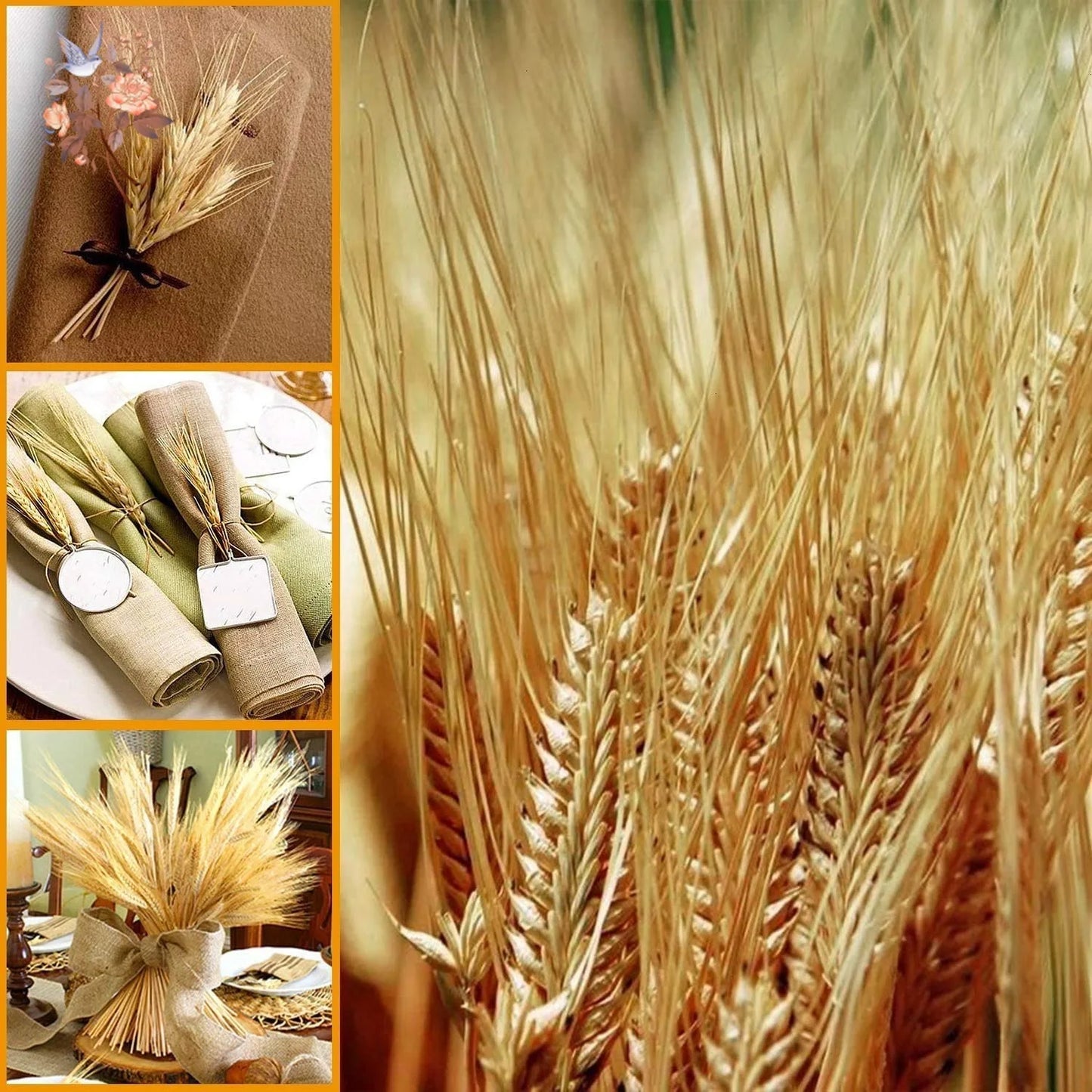 50/100Pcs Real Wheat Ear Natural Dried Bunny Tail Grass Boho Dried Flowers Wedding Party Decor Home DIY Craft Bouquet Decoration