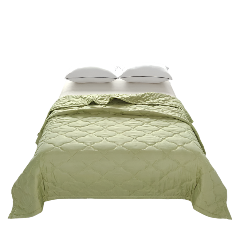 Hemasa Quilted summer single double bed light Printed quilt core Air conditioning quilting twin queen size duvet Thin plaid comforter